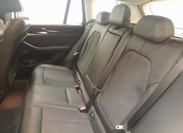 
								BMW X3 xDrive20d lleno									