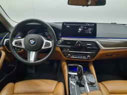 
										BMW Serie 5 520d lleno									