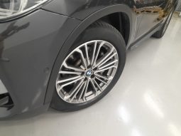 
										BMW X3 xDrive30d lleno									