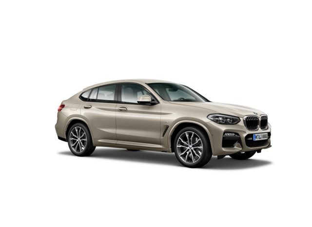 
								BMW X4 xDrive20d lleno									