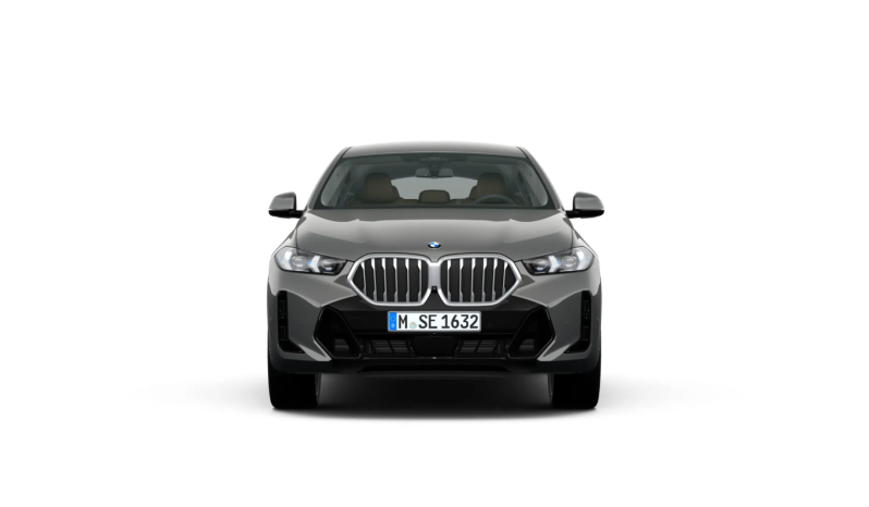 
								BMW X6 lleno									
