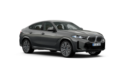 
										BMW X6 lleno									