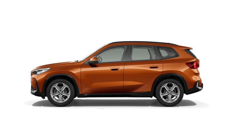 
								BMW X1 lleno									